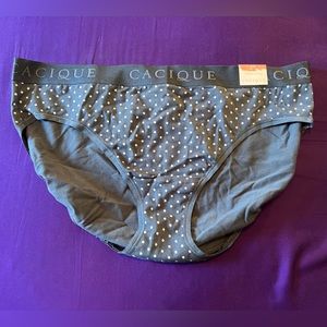 Cacique Cotton Hipster Panty